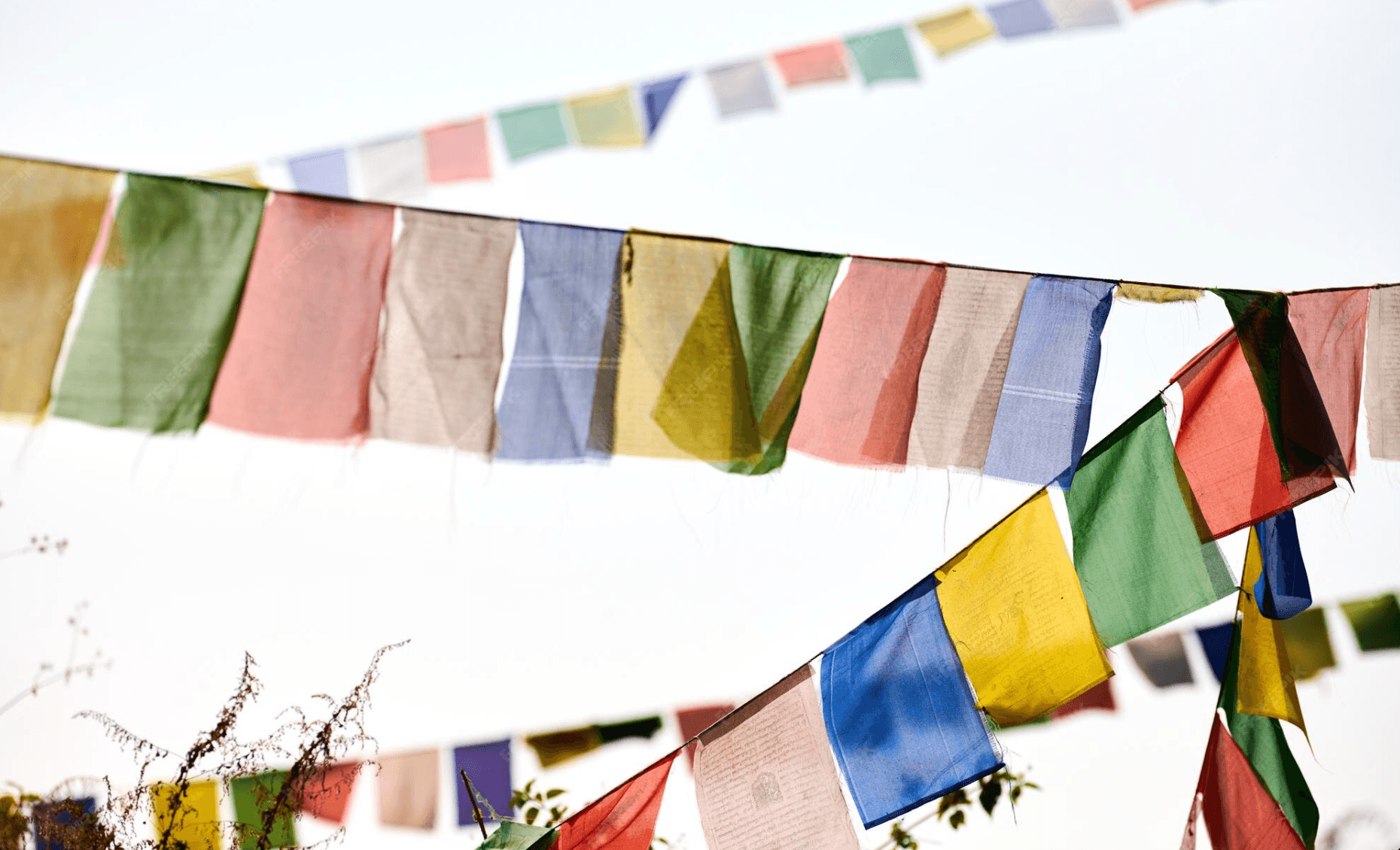 Himalayan Flags